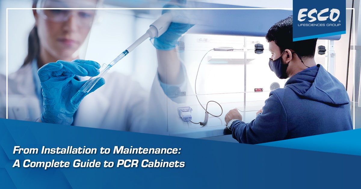 From Installation to Maintenance: A Complete Guide to PCR Cabinets
